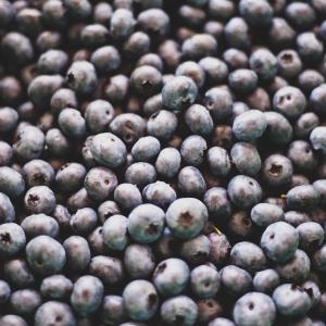 Fresh, Certified Organic Blueberries