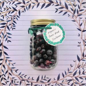 Certified Organic Freeze Dry Blueberries for sale