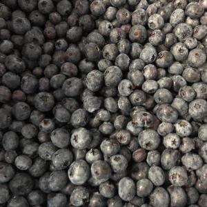 Certified Organic Frozen Blueberries for sale